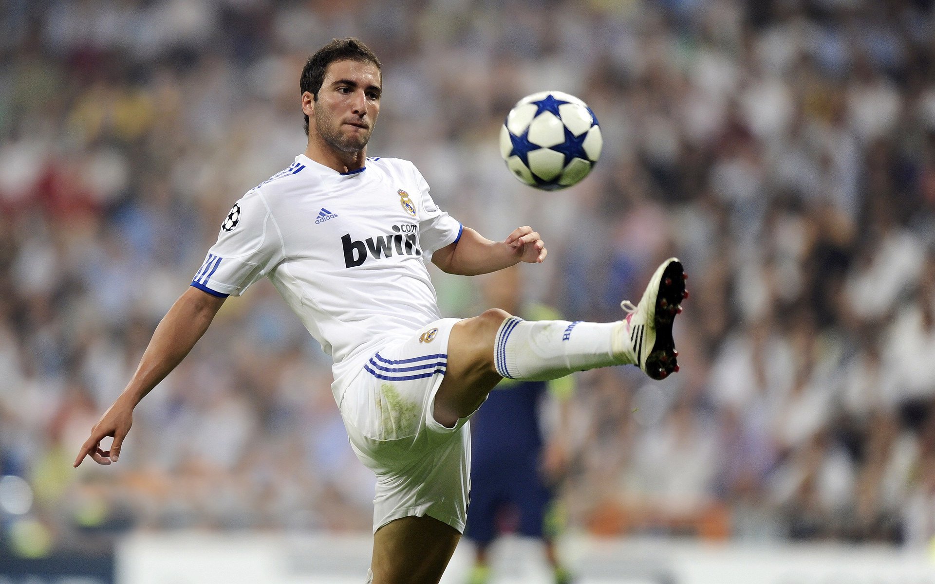 开云体育入口-莱万利刃出鞘，阿尔及利亚铁幕降临，当足球成为被压迫者的复仇史诗